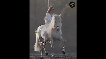 رفي بجناحك رفي 