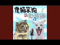 愛撒嬌的狗狗 