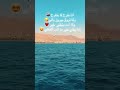 انا بفرح لما بتفرح ولما تروق دايما بيروق بالي عمرو دياب Explore Reels Song اكسبلور