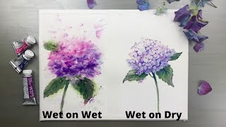 wet dry watercolor technique painting step vs hydrangea tutorial paint tutorials zapisano