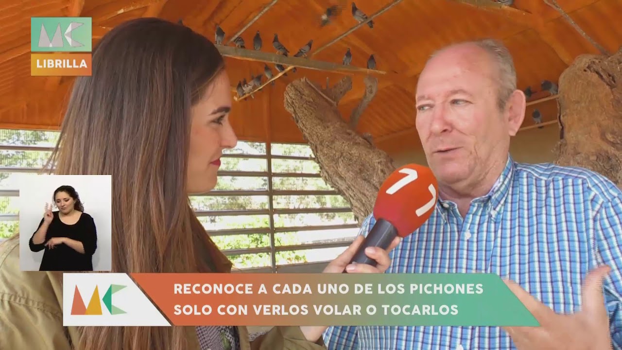 ¿Cómo se prepara un palomo campeón?