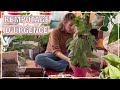 Vlog n 39 i rempotage d urgence en plein hiver ft sybotanica et blabla