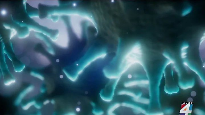 COVID-19 lab leak theory fuels divide within US intelligence community