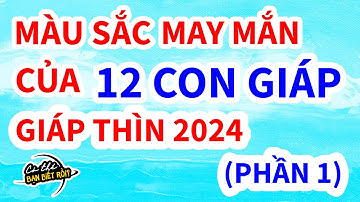 Màu sắc may mắn của 12 con giáp năm 2024 | Phần 1 | Có thể bạn biết rồi?