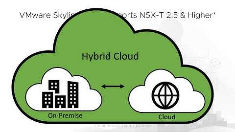 VMware Skyline Supports NSX-T