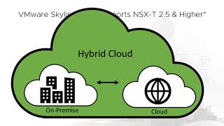VMware Skyline Supports NSX-T