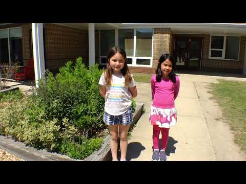 East Falmouth Elementary School Courtyard Tour with Mrs  Karl's Class, 2023