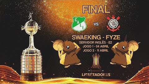 FYZE VS SWAEKING: FINAL LIBERTADORES 2020 | TRANSFORMICE