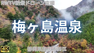 紅葉・静岡県静岡市葵区・梅ヶ島温泉 2023年 11月撮影