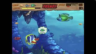 LIVE | Feeding Frenzy 2 Level 1 to 8 | Completed screenshot 1