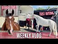 SHOW PREP, First Outing & LAME Horse | Weekly Vlog | LilPetChannel