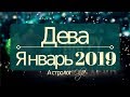ДЕВА ♍ Январь 2019 / Затмение в 5 и 12 доме / Астролог Olga