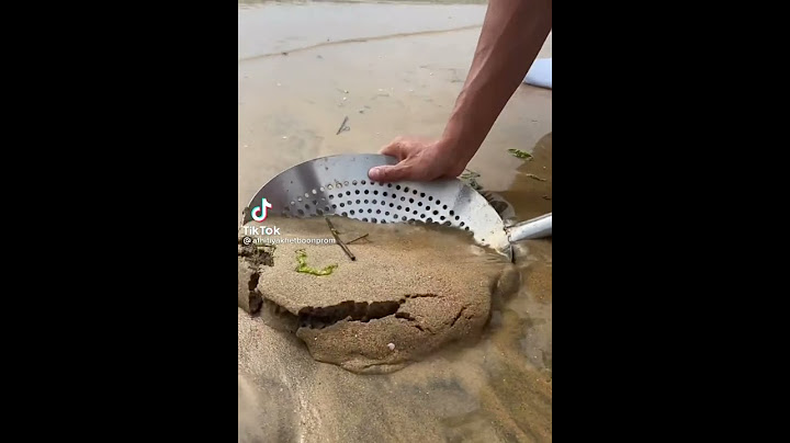 조개를 걸러내는 과정