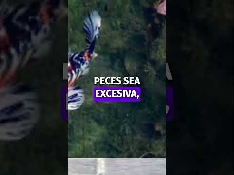 ¡Cuidado con el