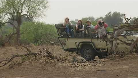 Mashatu Game Reserve - Leopard