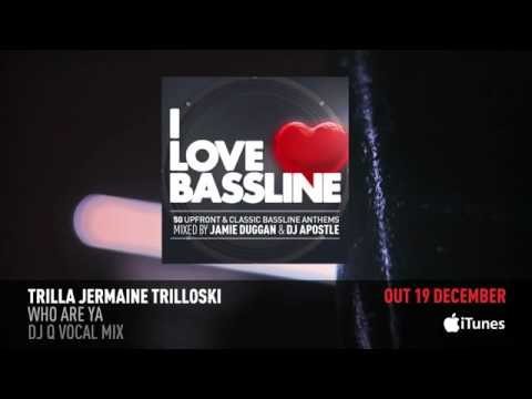 I Love Bassline (Album Megamix)