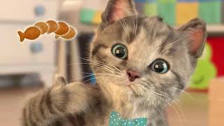 My Favorite Cat Little Kitten  - Play Fun Cute  #136