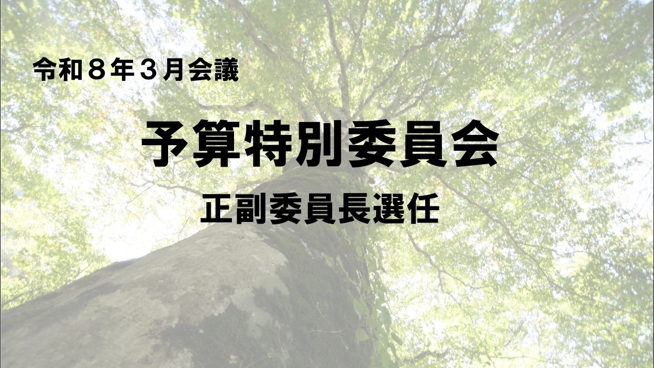 R8.3.6　只見町予算特別委員会（正副委員長選任）