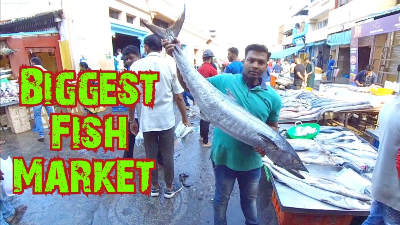 Russell Fish Market Shivajinagar Wholesale Fish Market Bangalore