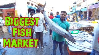 Russell Fish Market Shivajinagar | Wholesale Fish Market Bangalore | Russell Market Shivajinagar