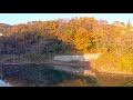 Sagamihara and cats of Shofuyama temple・4K HDR