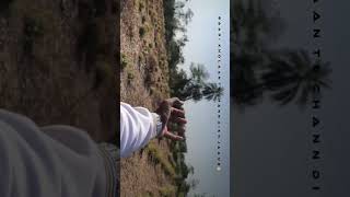 Bich koi aave to pyar he aave #reel #tag #tagswag #trending #video #viraltag #tagsomeone