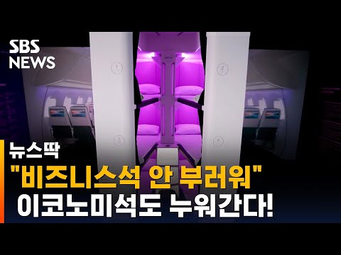   이코노미석도 누워간다 에어뉴질랜드 내년 9월 첫 도입 SBS 뉴스딱