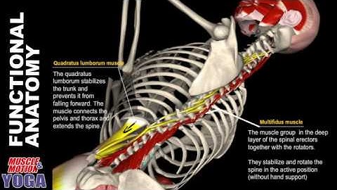 Revolved Side Angle Pose