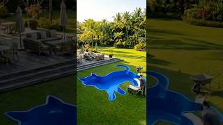 Cat Shaped Pool Construction Timelapse | Backyard Transformation From Scratch