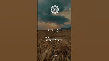 #تلاوات_مطرف_المطرف #سورة_النحل    #ايات_قرانيه_قصيره #اكسبلور #راحة_نفسية #السعودية #تلاوة_خاشعة