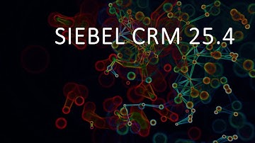 Siebel CRM 25.4 Update Summary - Oh, You Pretty Things