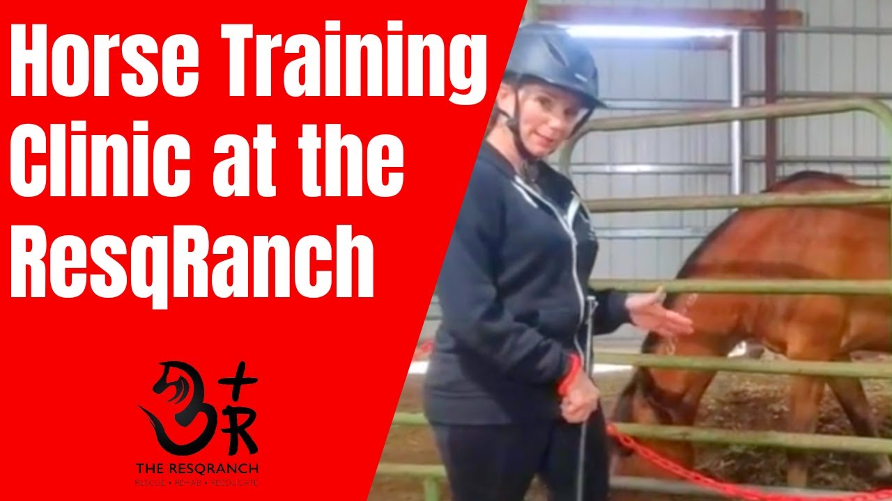 Horse Training Clinic at The ResqRanch!