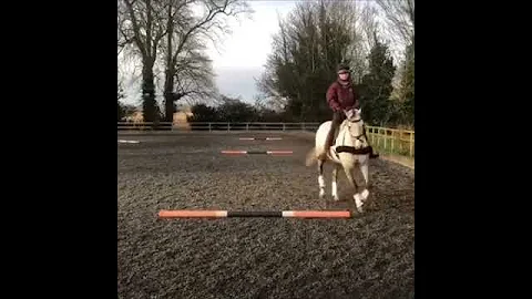 Improve your horses' suppleness and bend with Conn...