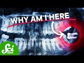 Wisdom Teeth: Evolution and Impact