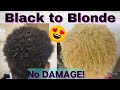 Detailed HOW TO BLEACH & Tone Natural HAIR Black to Blonde NO DAMAGE! Revive Curls after bleaching!