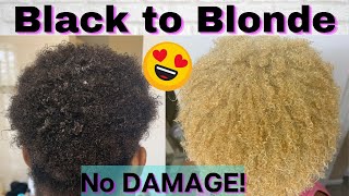 Detailed HOW TO BLEACH & Tone Natural HAIR Black to Blonde NO DAMAGE! Revive Curls after bleaching!
