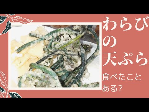 てんぷら先斗町 かぎわらび 600g 岐阜生わらびもち『てんとてん』さん 店頭販売イベントのお知らせ