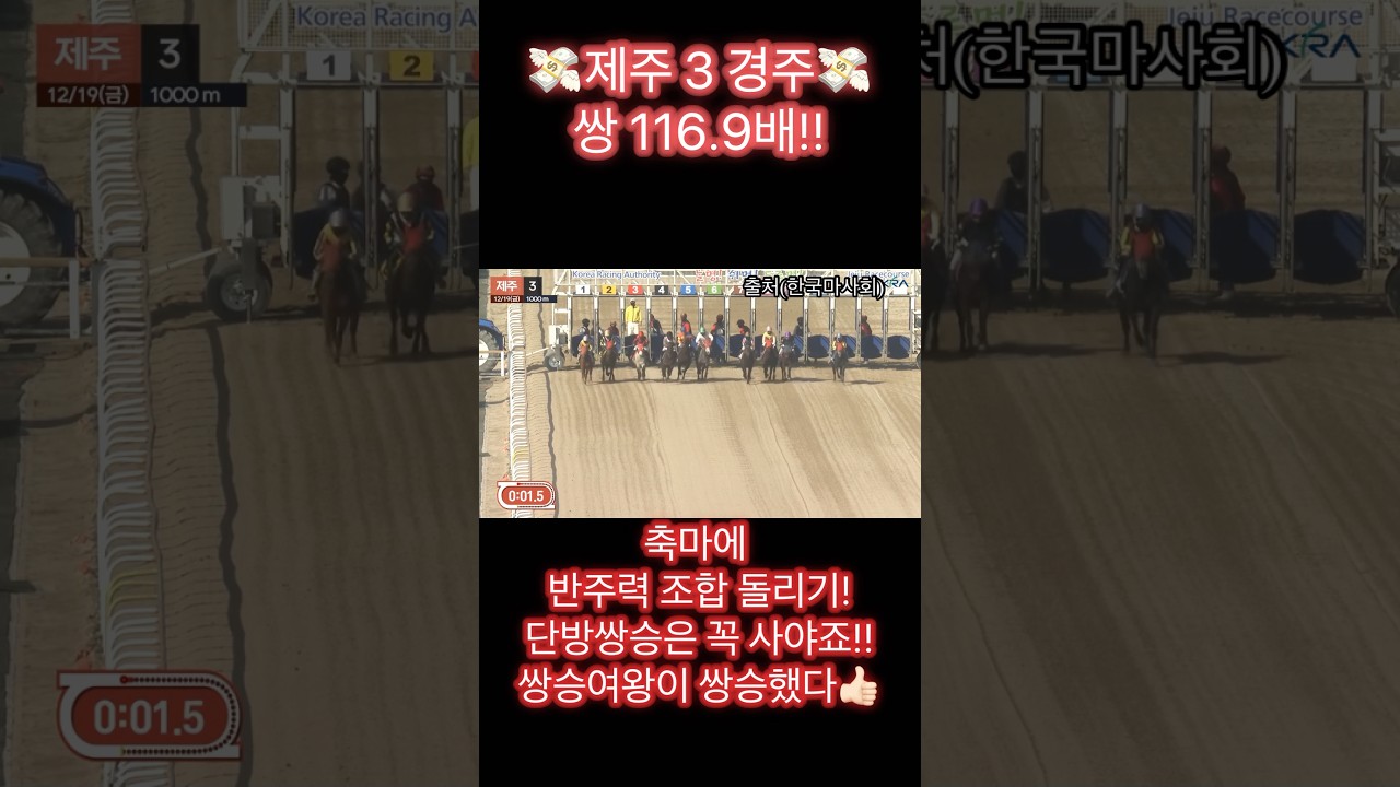 쌍 116배! #경마방송 #아이브 #생방송오늘저녁부산입니다 #경마예상 #유튜버 #22년도로또1등할수있습니다 #고배당경마 #좋아요 #1055회 #손흥민 #쌍승의여왕