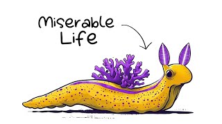 Why It Sucks To Be Born As A Sea Slug (Nudibranch)