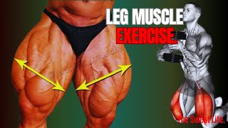 5 Tips For Growing Bigger Quads Quickly! Bild leg muscle exercise