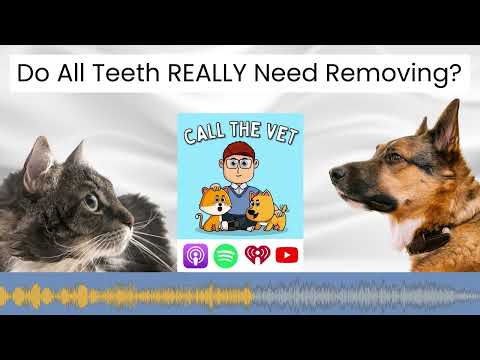 Do All Teeth REALLY Need Removing?