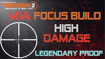 Division 2 M1A Focus Build