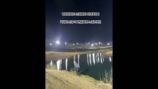 세현cc 마지막홀 박세리선수 맨발 어프로치 느낌으로 !