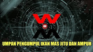 Umpan Pengumpul Ikan Mas Jitu Dan Ampuh - TipsBOSSWM