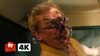 Paddington in Peru (2024) 4K - CRAZY Plane Crash and HUGE Tarantula Scene | Movieclips