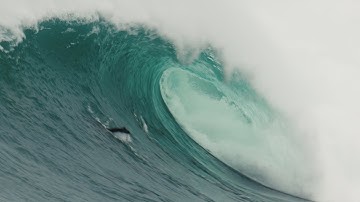 One Years with the Ocean - SHOWREEL 2025