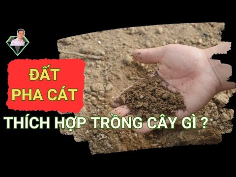 Video: Tài sản sản xuất là một phần quan trọng của sản xuất