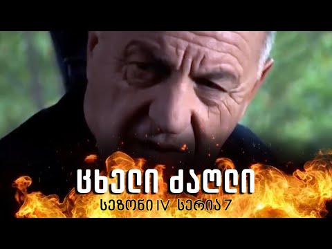 ცხელი ძაღლი | სეზონი 4 სერია 7