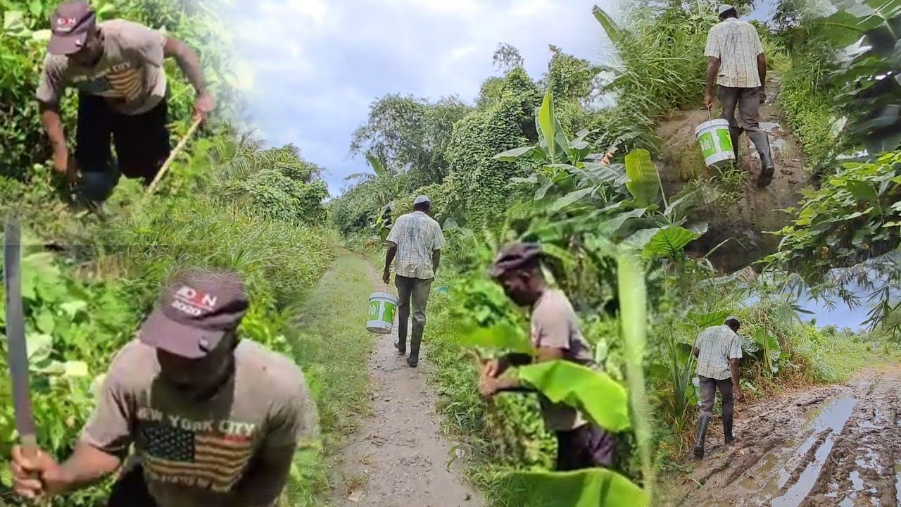 Утренняя прогулка на природе, я увидел фермера, который собирался что-то вырастить, это был прекр...