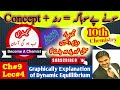Graphical Representation Of Dynamic Equilibrium | Lecture No.4 | Chapter No. 9 | Class 10th |